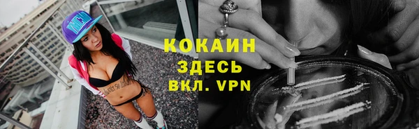 тгк Новодвинск