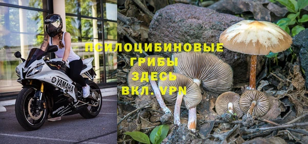 тгк Новокубанск