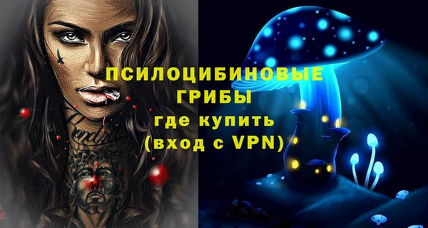 тгк Новодвинск