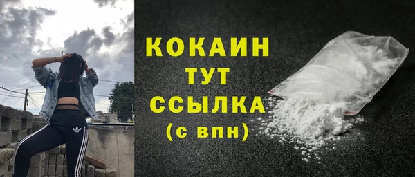 тгк Новодвинск