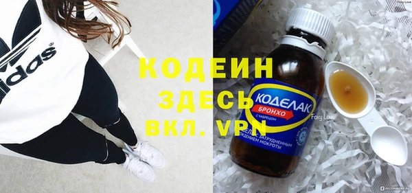 гидра Абаза