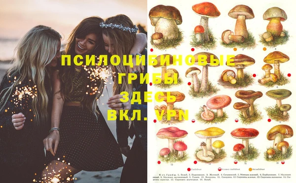 тгк Новодвинск
