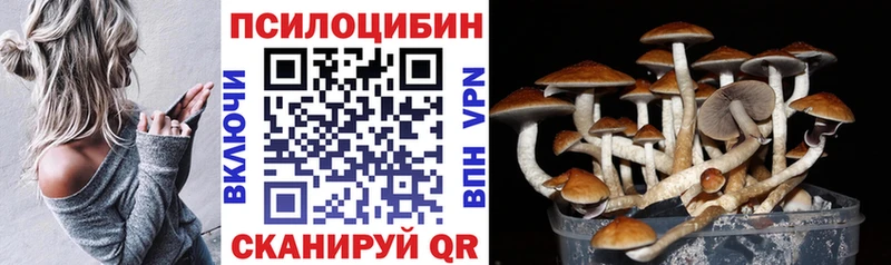 Галлюциногенные грибы ЛСД  Чегем 