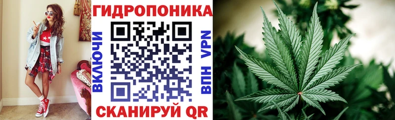 где продают   Чегем  Марихуана гибрид 